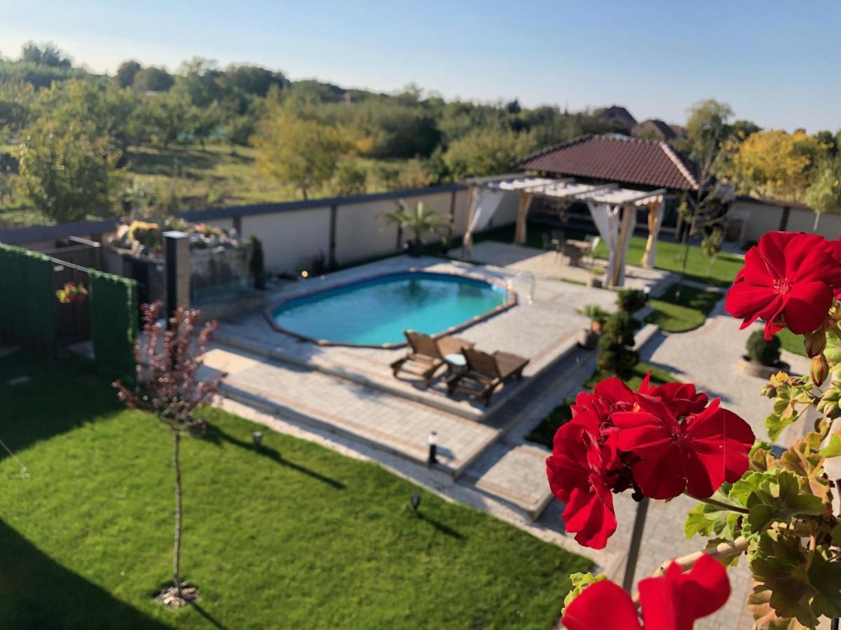 Kovac Residence Зренянин Екстериор снимка