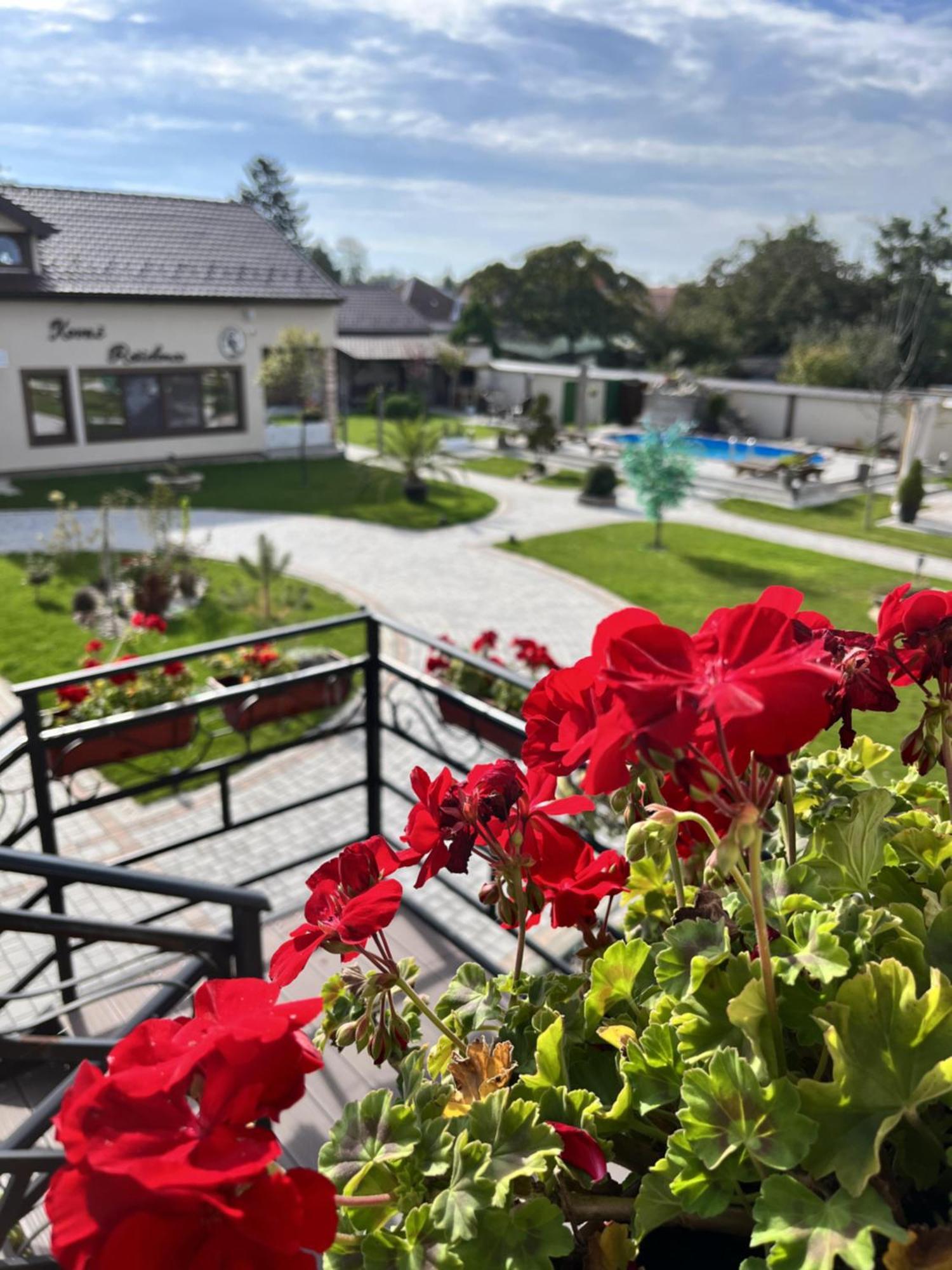 Kovac Residence Зренянин Екстериор снимка