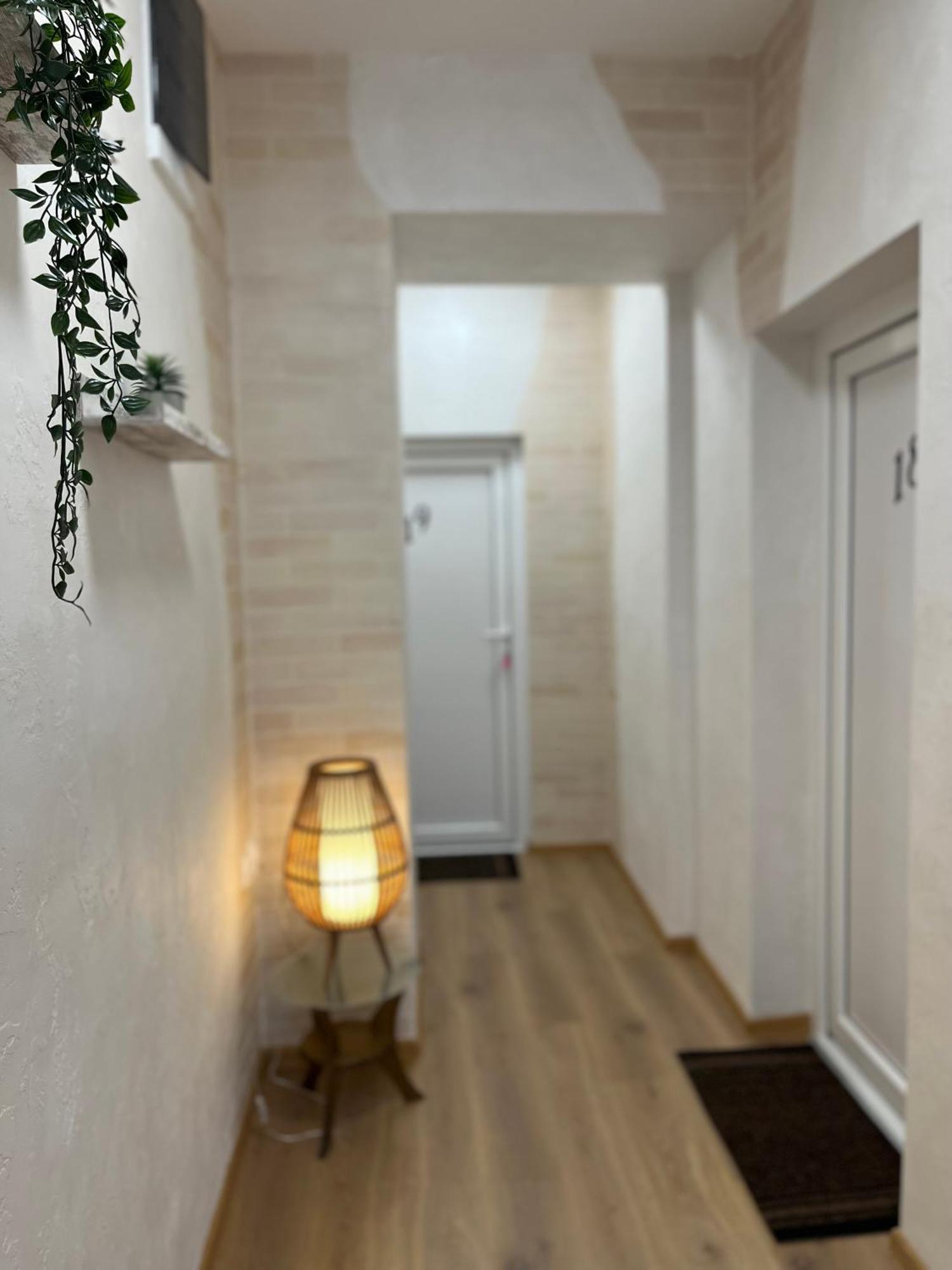 Kovac Residence Зренянин Екстериор снимка